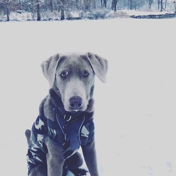 Meet your Posher, Susan - Picture 3 of 3